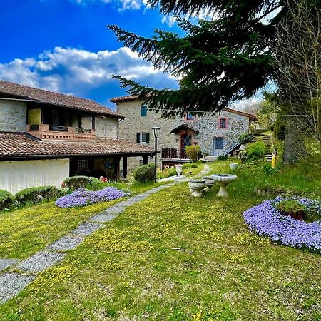 Mazzetti Country House-Vita In Campagna Con Giardino Vimignano-Chiesa 外观 照片