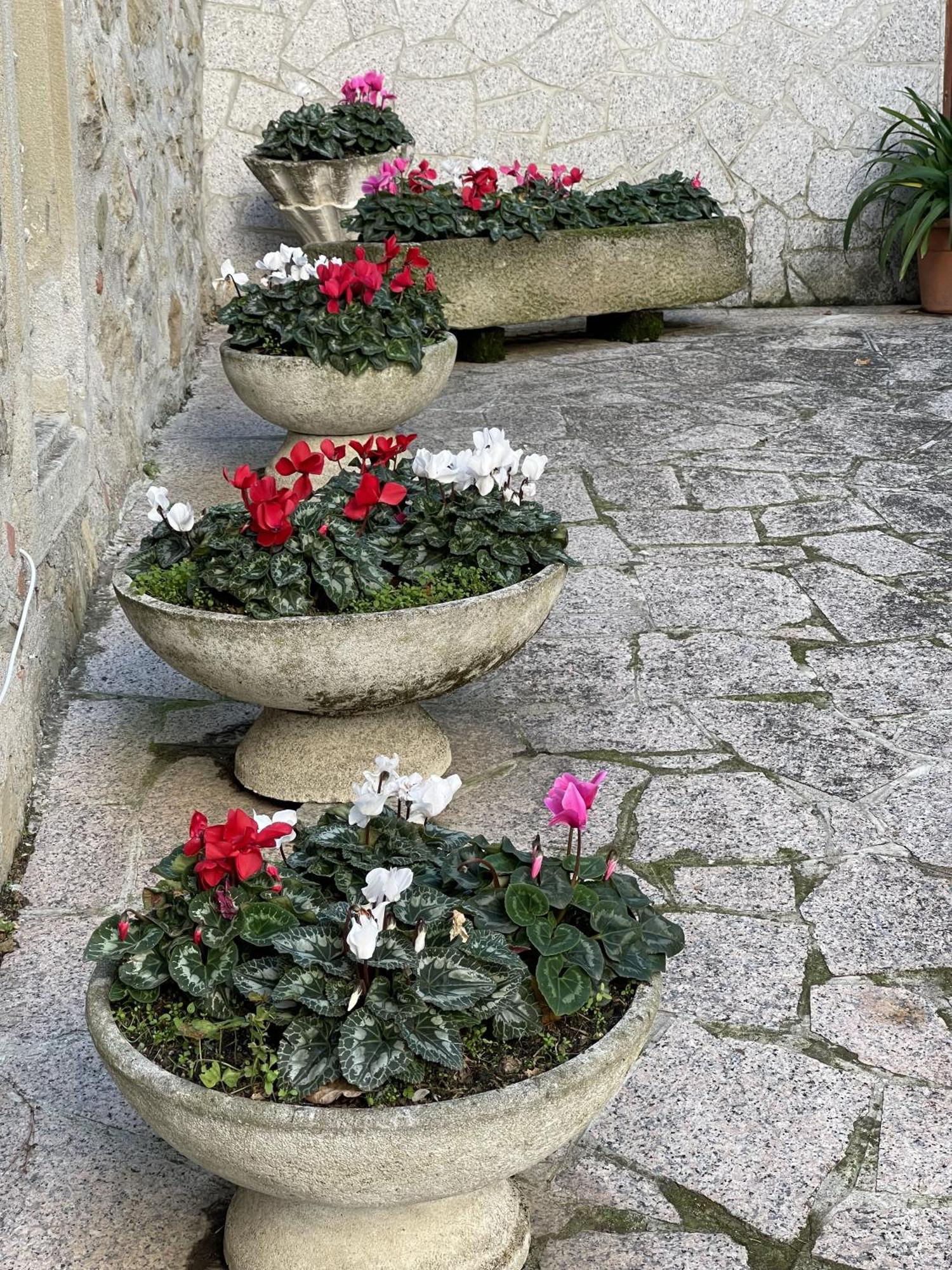 Mazzetti Country House-Vita In Campagna Con Giardino Vimignano-Chiesa 外观 照片