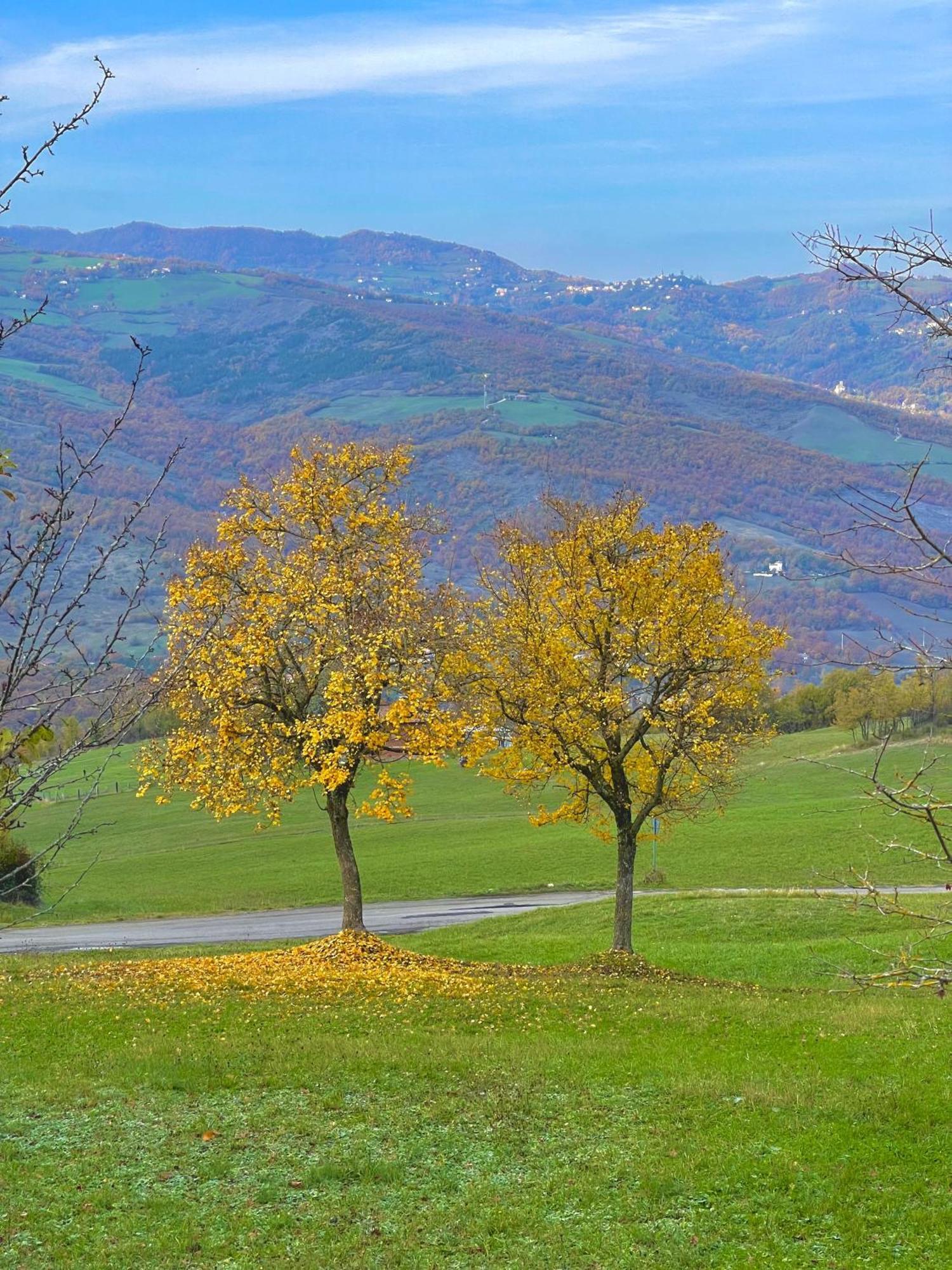 Mazzetti Country House-Vita In Campagna Con Giardino Vimignano-Chiesa 外观 照片