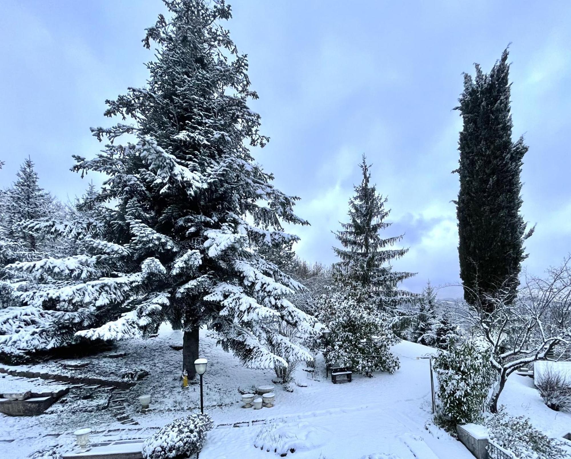 Mazzetti Country House-Vita In Campagna Con Giardino Vimignano-Chiesa 外观 照片