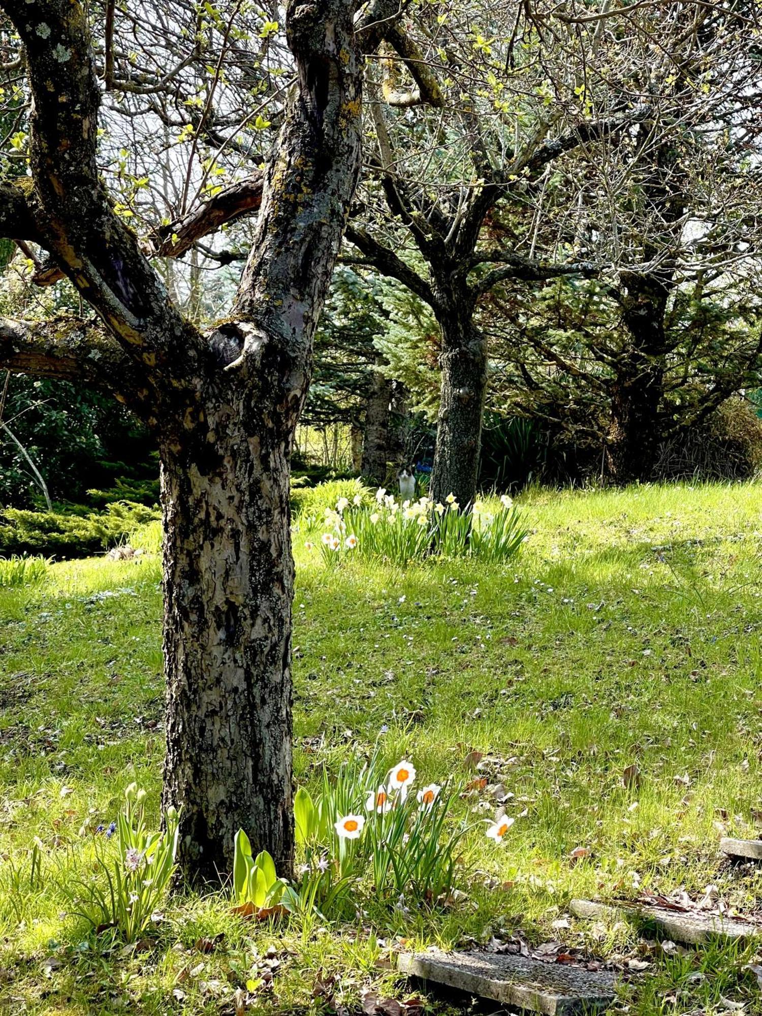 Mazzetti Country House-Vita In Campagna Con Giardino Vimignano-Chiesa 外观 照片