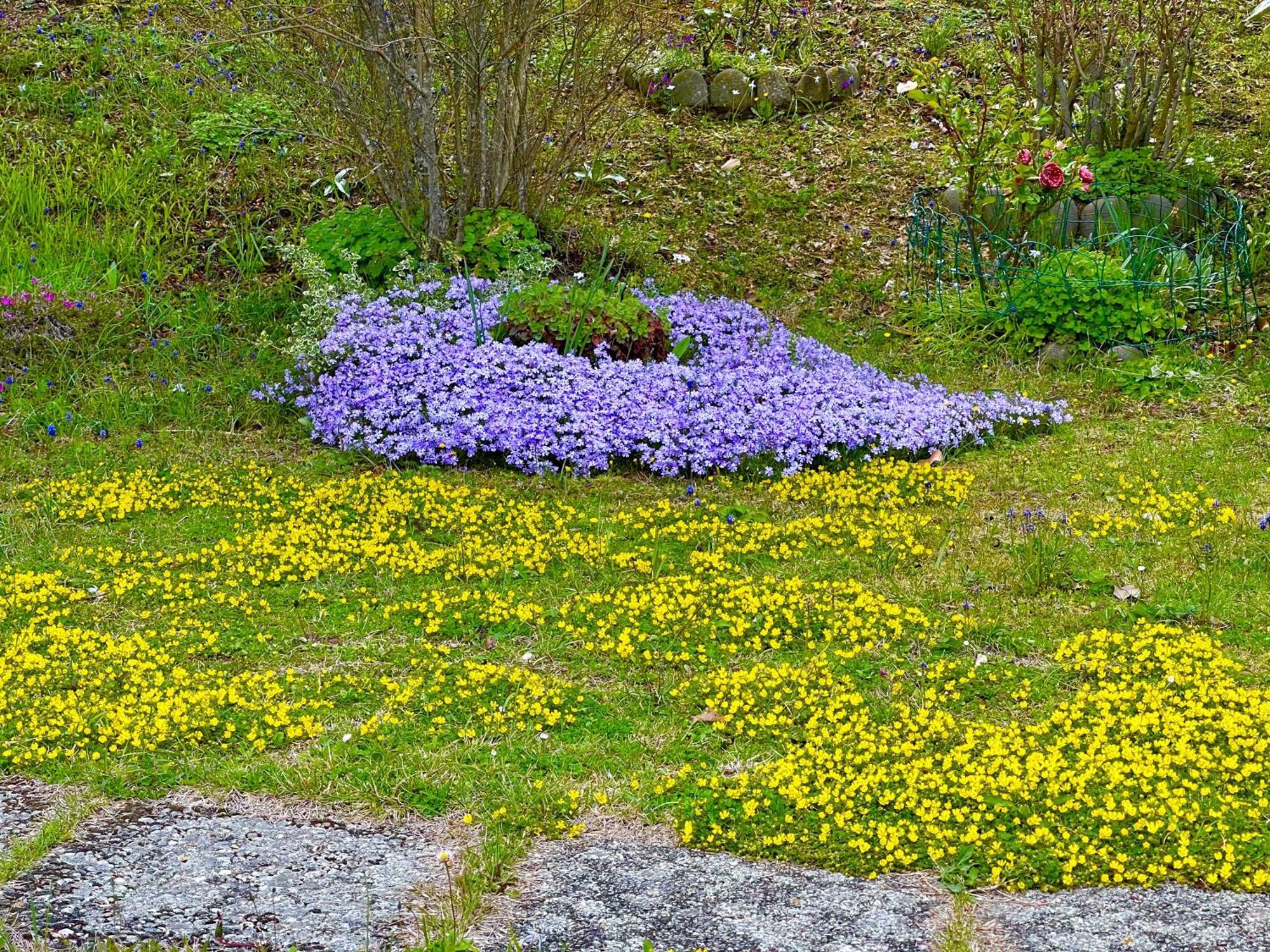 Mazzetti Country House-Vita In Campagna Con Giardino Vimignano-Chiesa 外观 照片