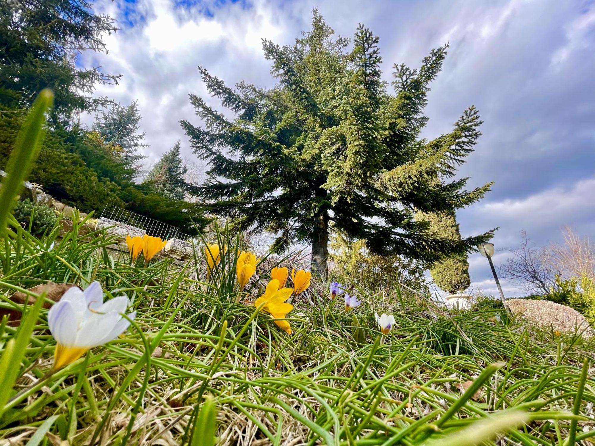 Mazzetti Country House-Vita In Campagna Con Giardino Vimignano-Chiesa 外观 照片