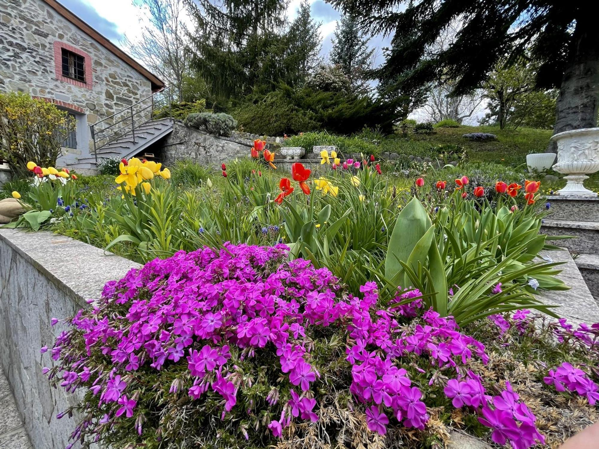 Mazzetti Country House-Vita In Campagna Con Giardino Vimignano-Chiesa 外观 照片