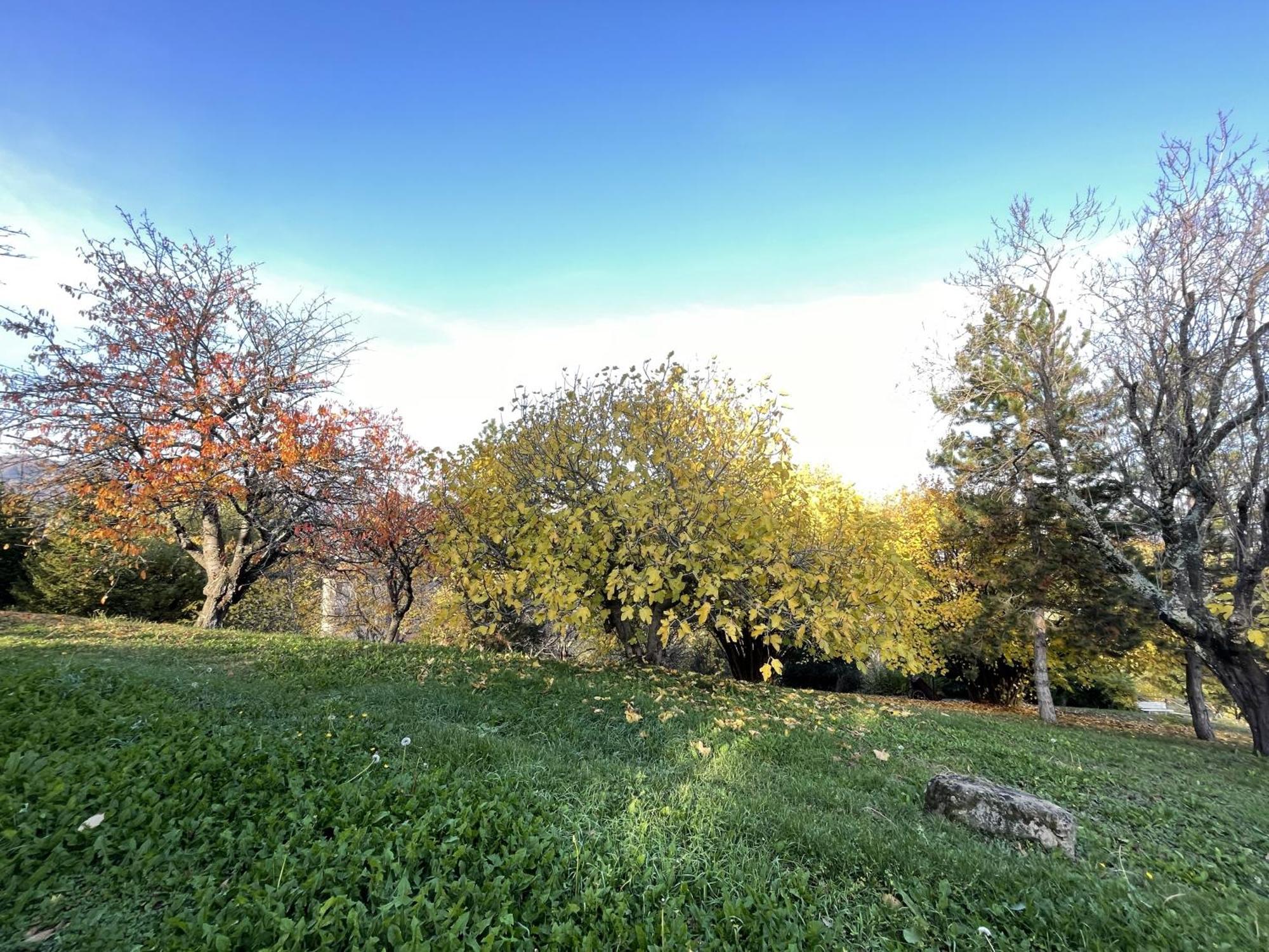 Mazzetti Country House-Vita In Campagna Con Giardino Vimignano-Chiesa 外观 照片