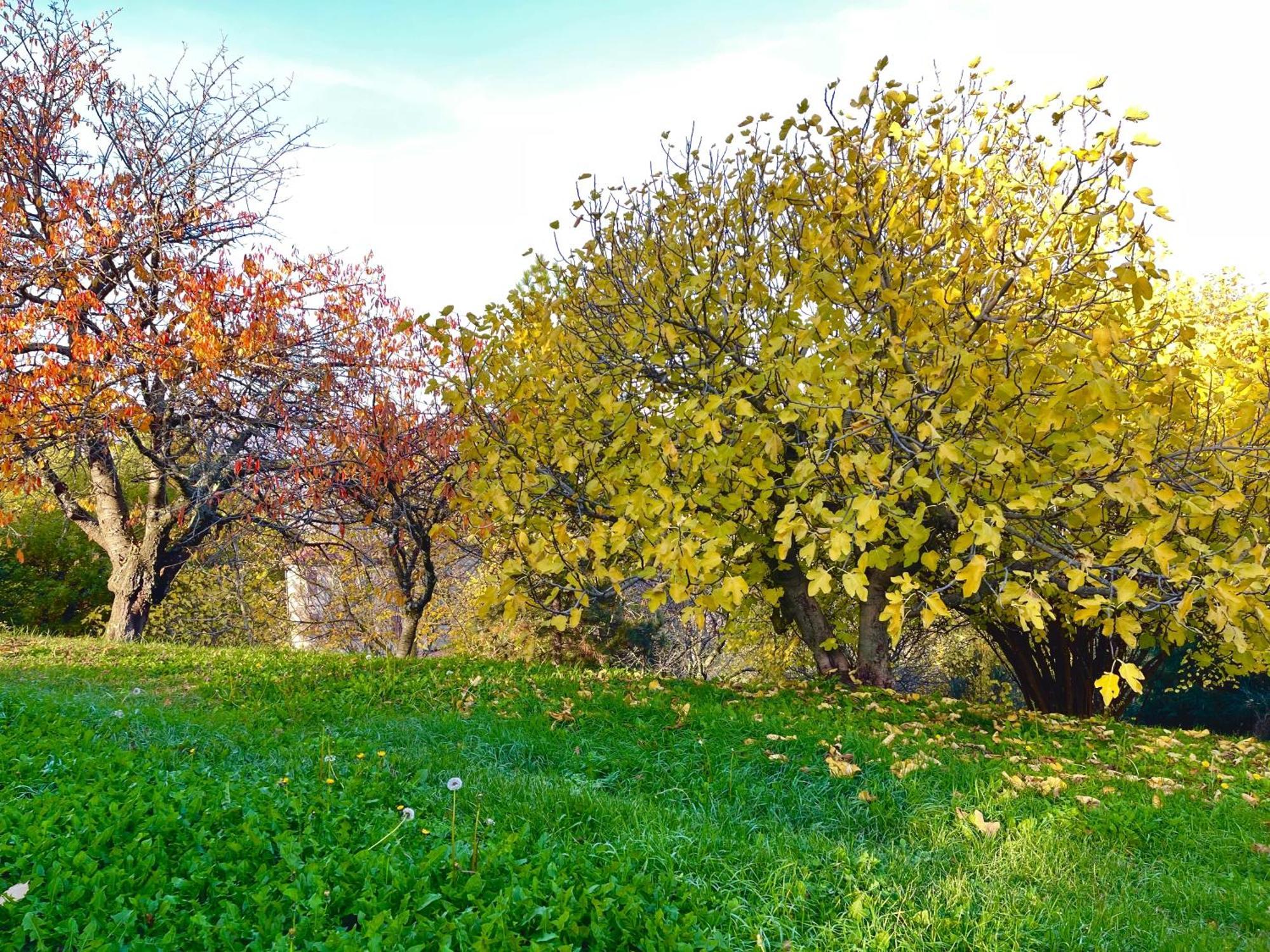 Mazzetti Country House-Vita In Campagna Con Giardino Vimignano-Chiesa 外观 照片