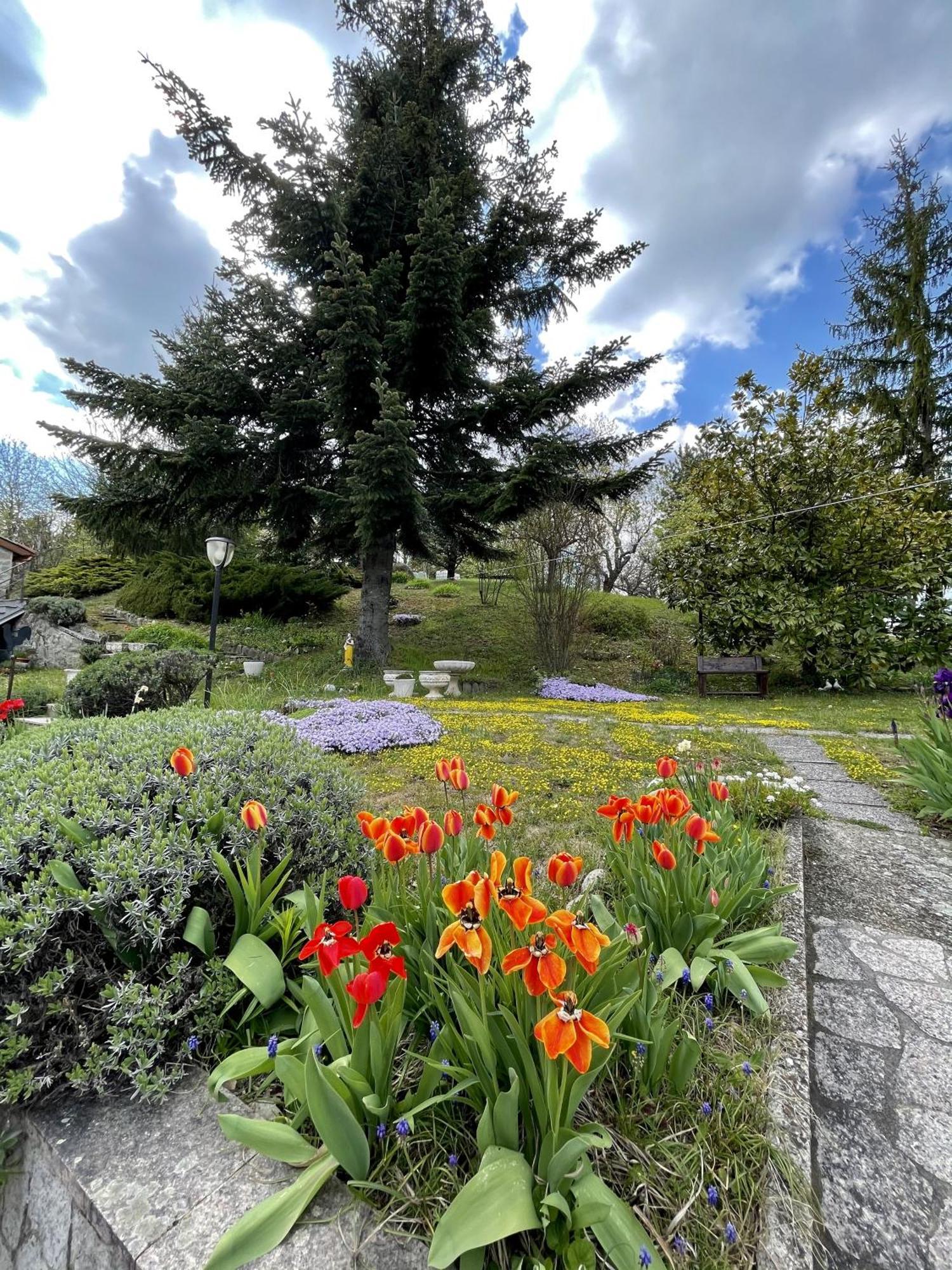 Mazzetti Country House-Vita In Campagna Con Giardino Vimignano-Chiesa 外观 照片